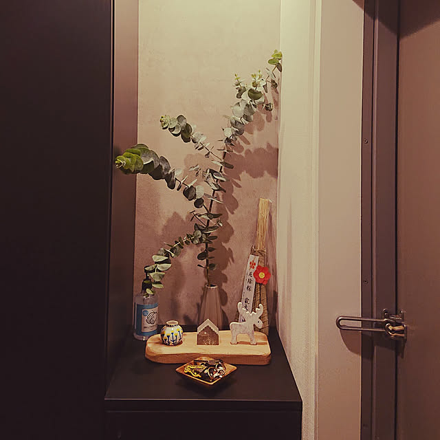 玄関/入り口/ナチュラル/北欧/100均/一人暮らし...などのインテリア実例 - 2021-11-25 18:38:18