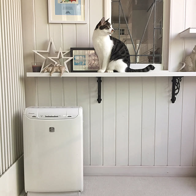 yuchiさんの実例写真