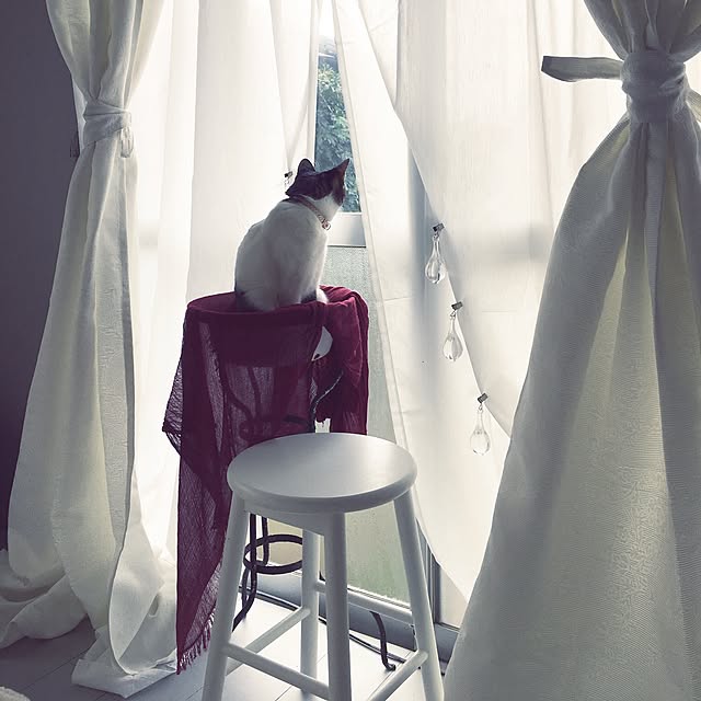 Shihoさんの実例写真