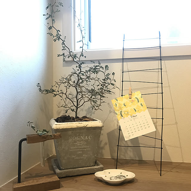 home...0527さんの実例写真