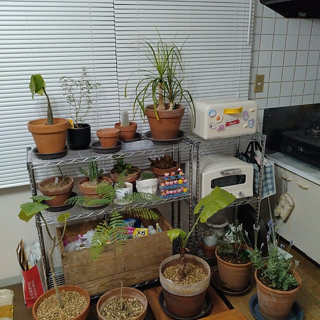 m.mさんの実例写真