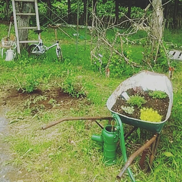 meroさんの実例写真