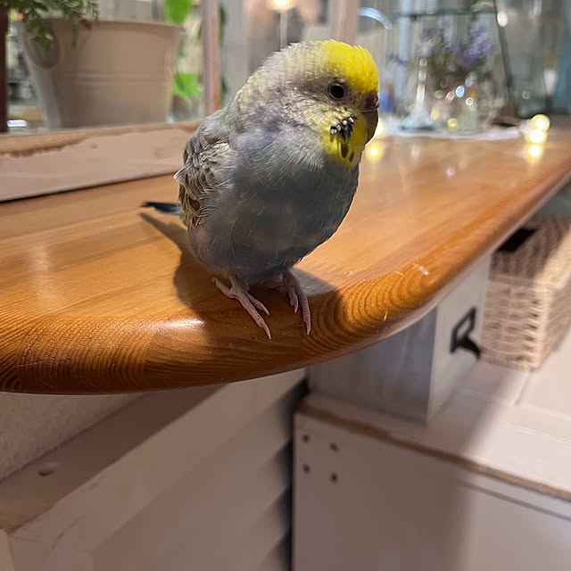 Atsukoさんの部屋