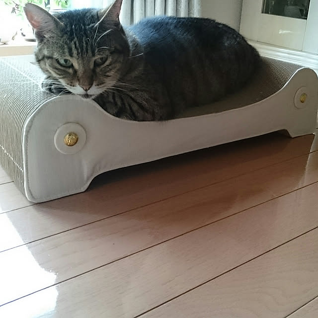 lilyさんの実例写真