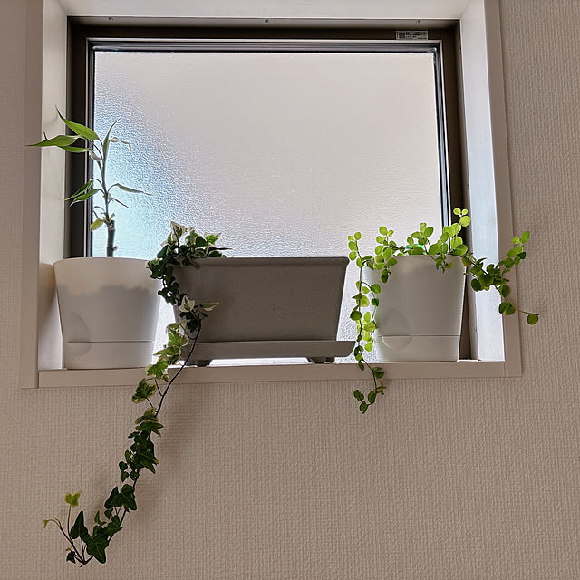 mym_0612さんの部屋