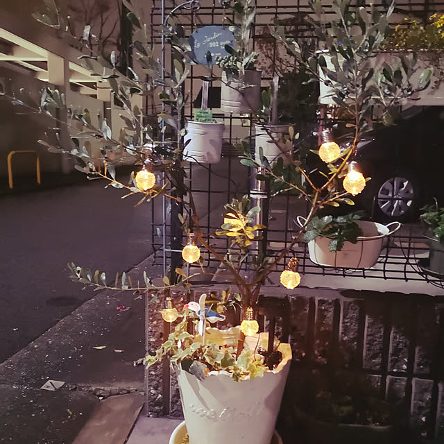 Emiさんの実例写真