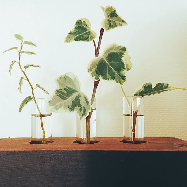 koroさんの実例写真