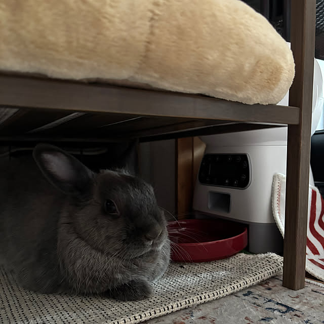 kirariさんの部屋