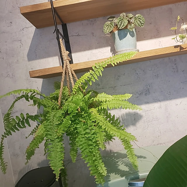 miniさんの実例写真