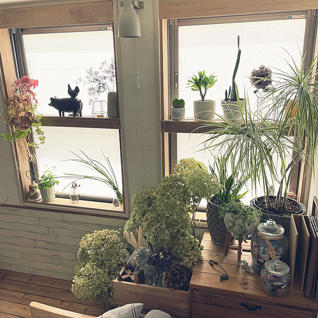 nikoさんの部屋