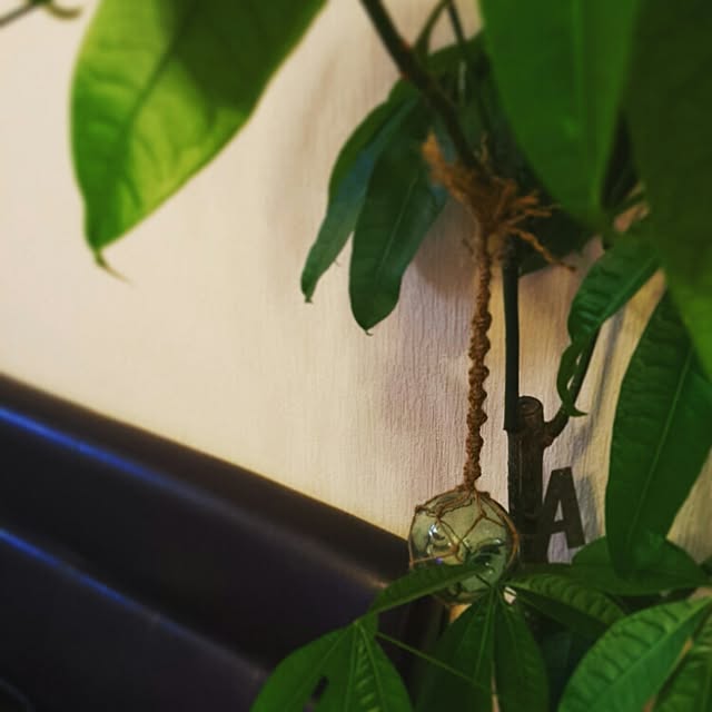 lebo_yamiさんの実例写真