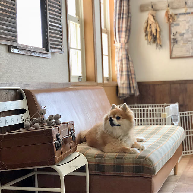 akkyさんの実例写真