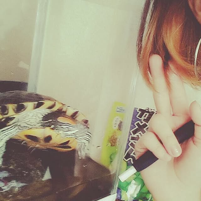 mikoさんの実例写真