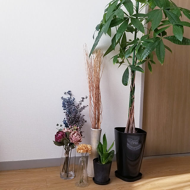 sugiさんの実例写真