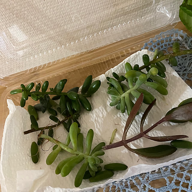 YuuKoさんの部屋