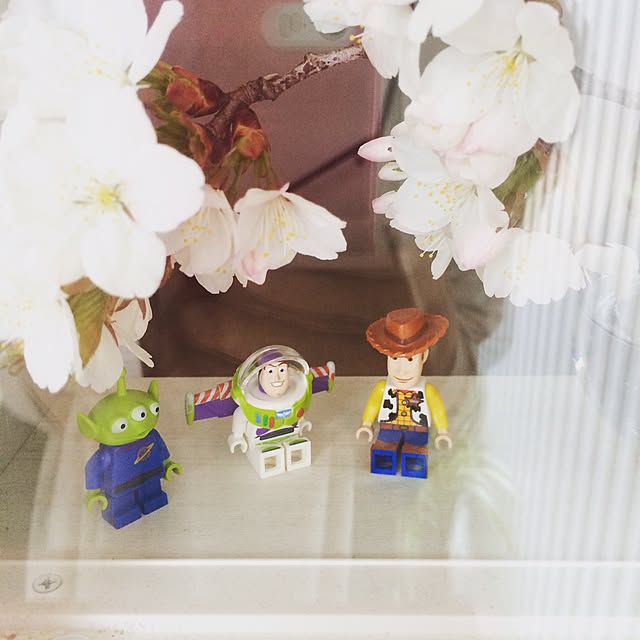 Shioriさんの実例写真