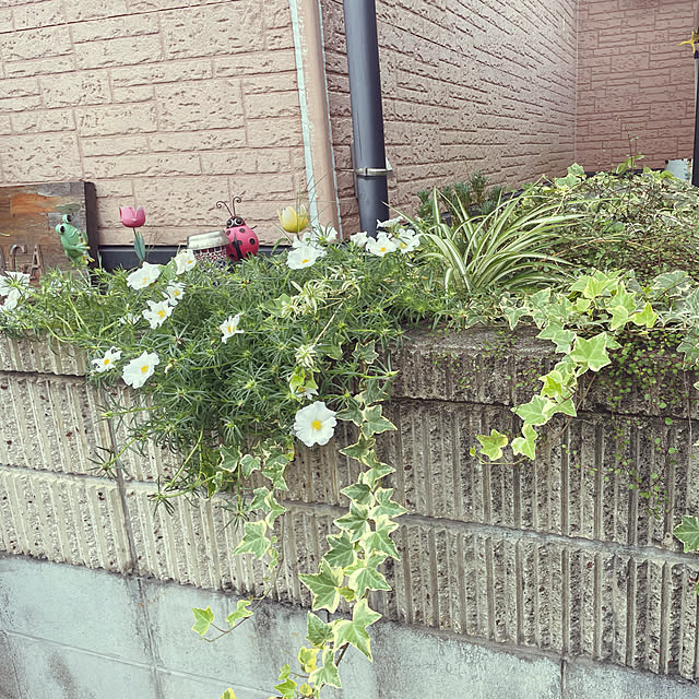 Yukikoさんの実例写真