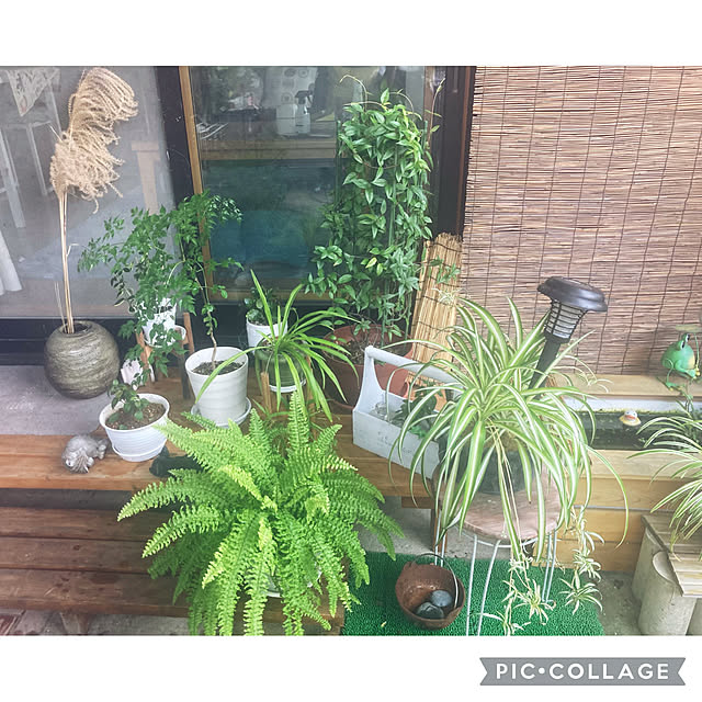 CoCo0617さんの実例写真