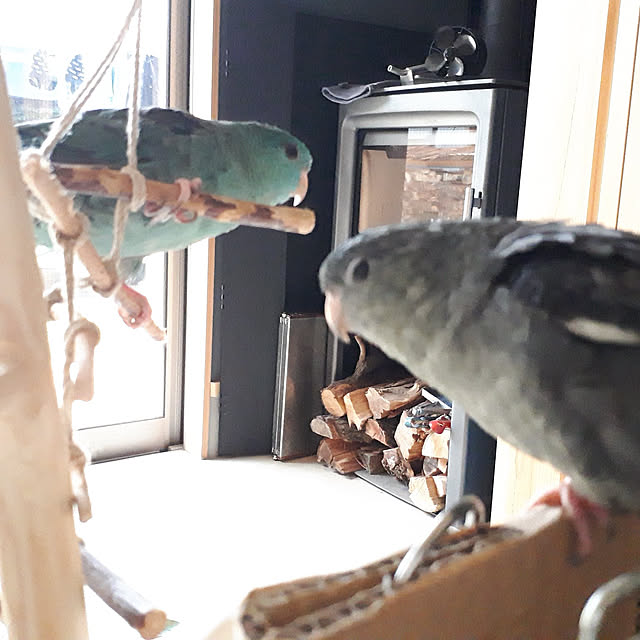 kazuraさんの実例写真