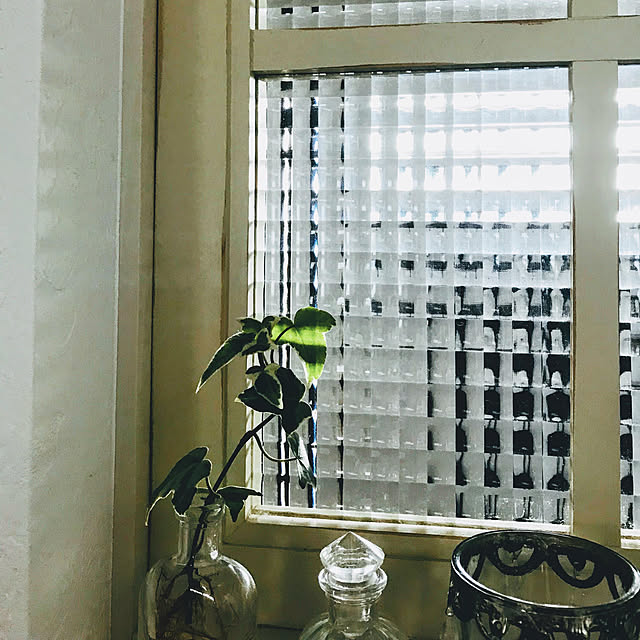 ナチュラル/雑貨/100均/レトロ/観葉植物...などのインテリア実例 - 2019-06-26 20:25:35
