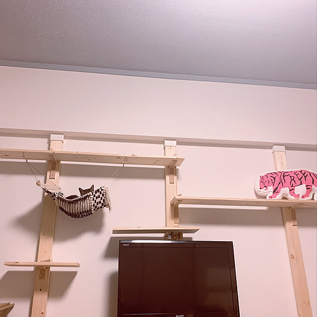 maripepeさんの実例写真