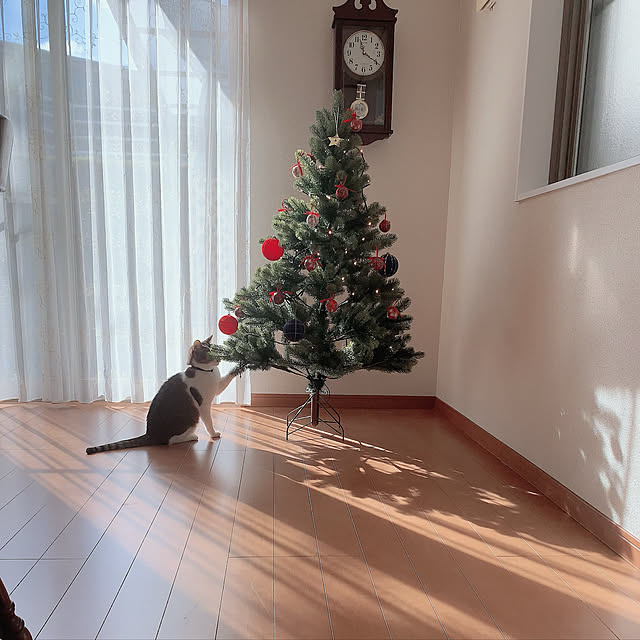 emiさんの実例写真