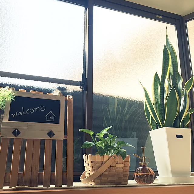 canmilmamaさんの実例写真