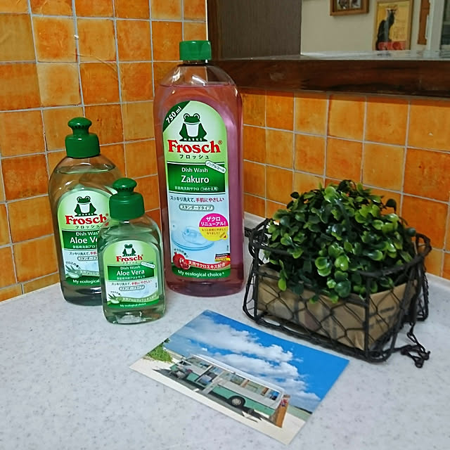 dadaさんの実例写真