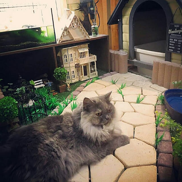 hiroshiさんの実例写真