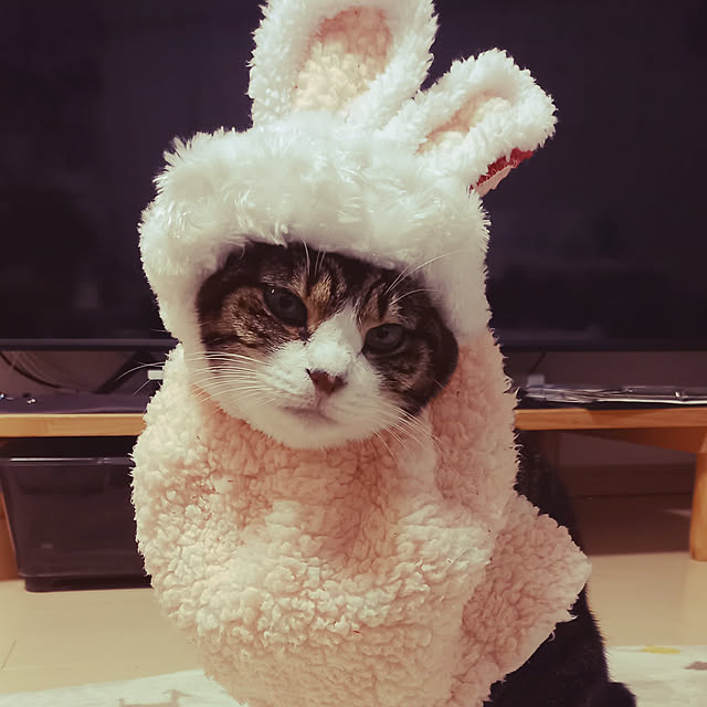 civicglさんの実例写真