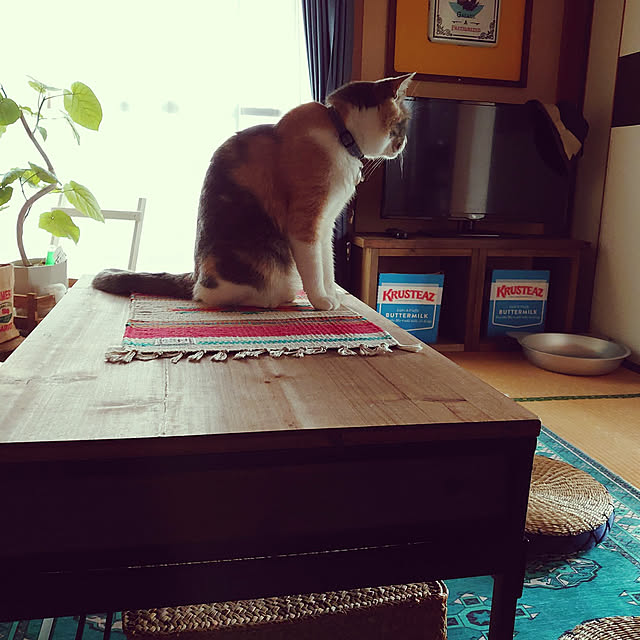 fukuさんの実例写真