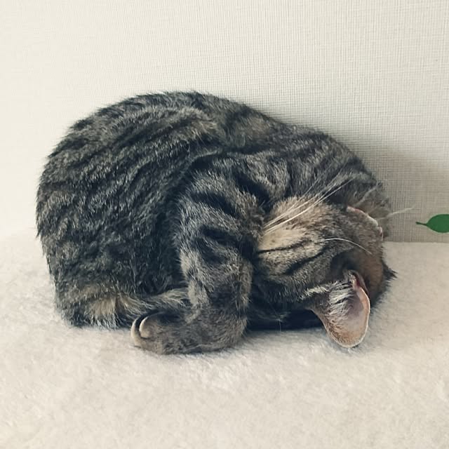 hinaさんの実例写真