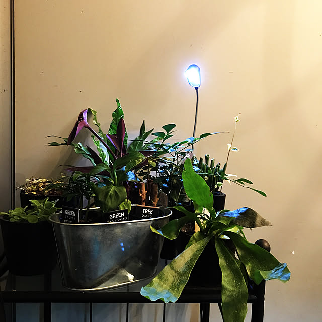 lateの東谷-ペール45L　LFS-765　屋外ダストボックス 45Lの家具・インテリア写真