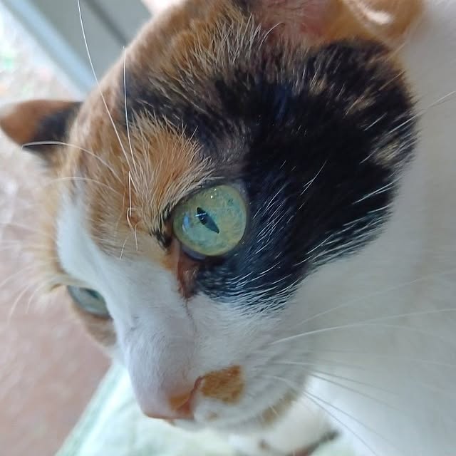 nanaさんの部屋