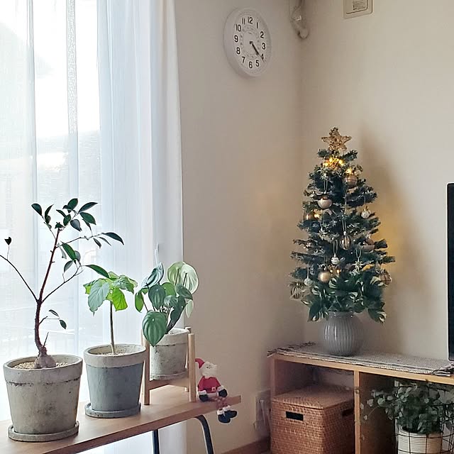 pomさんの実例写真