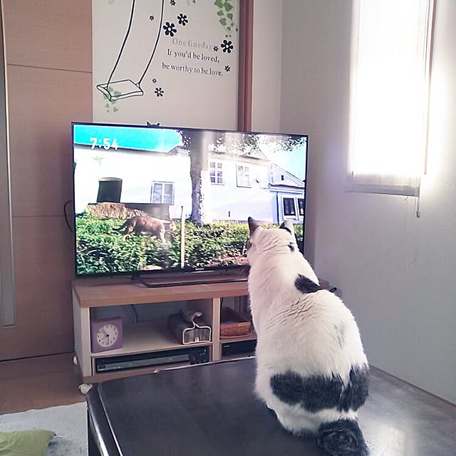 kamekoさんの実例写真