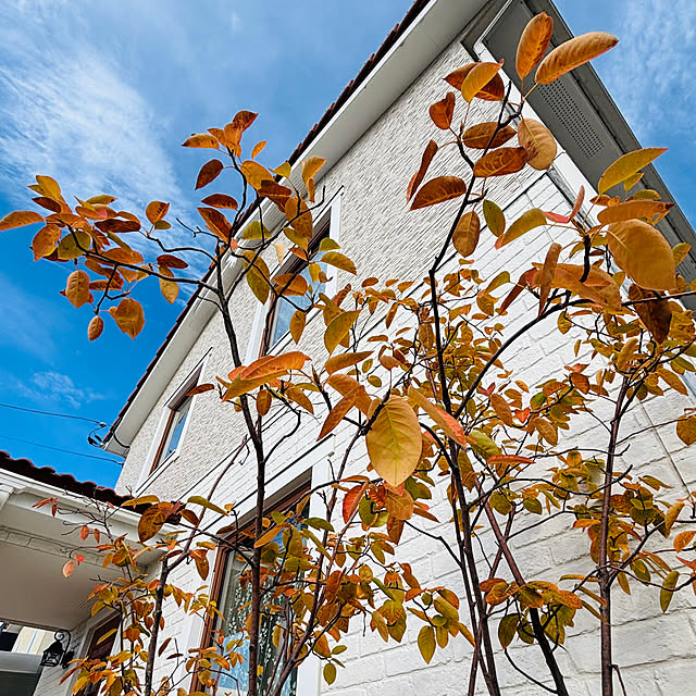 lalalaさんの実例写真