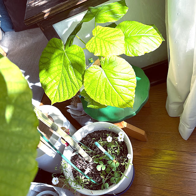 takakoさんの部屋