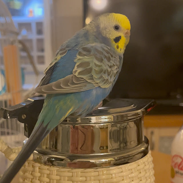 Atsukoさんの部屋