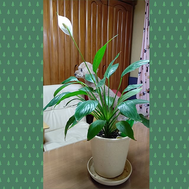yumirinさんの部屋