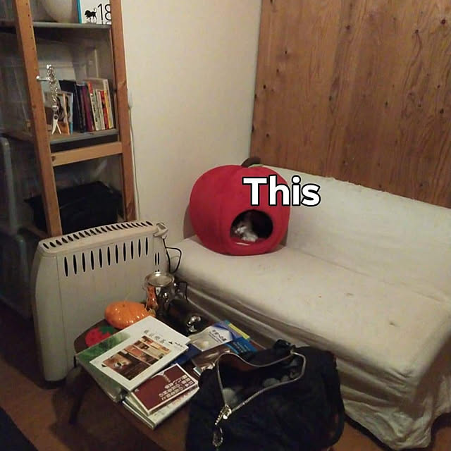 catloveさんの実例写真