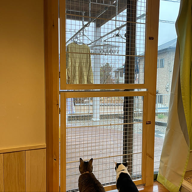 yoshi0525さんの実例写真