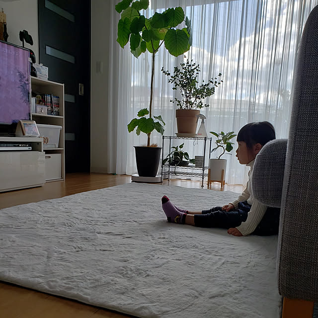 naoさんの実例写真