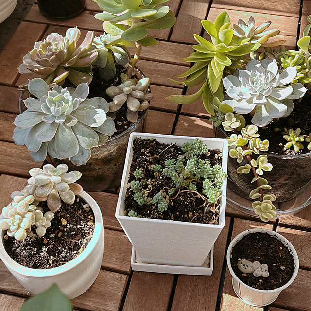 ruuuさんの実例写真