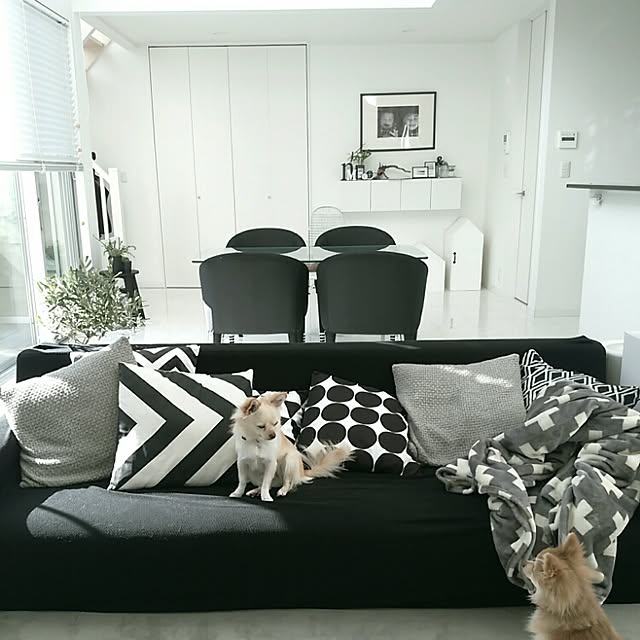 mi-さんの実例写真