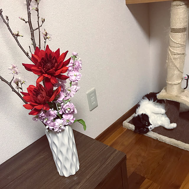 Yunさんの実例写真