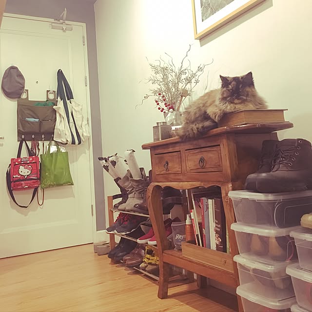 onezumisanさんの実例写真
