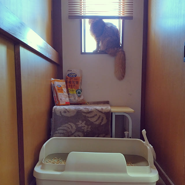 shirabenさんの実例写真