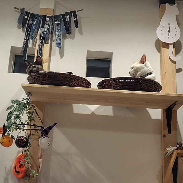 nrsim+kmymさんの部屋