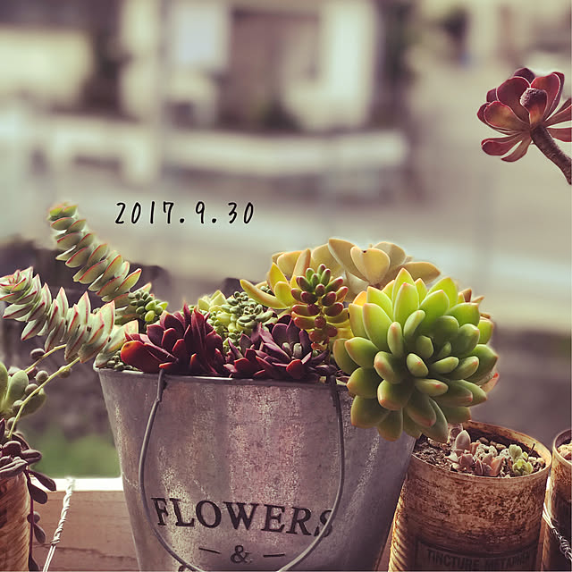 mockさんの実例写真